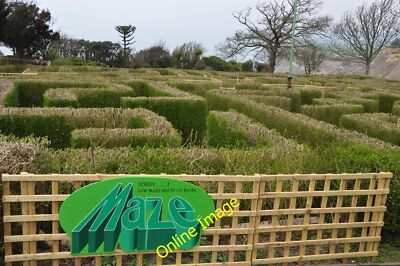 Photo 6x4 Blackgang Chine : The Hedge Maze Unfortunately there have been  c2012