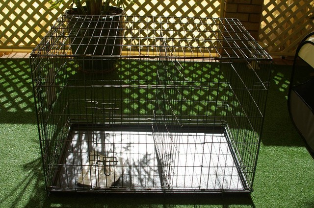 gumtree large dog crate