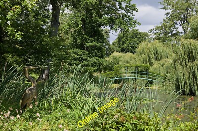 Photo 6x4 Monet Garden, Highnam Court Gardens On the left a carving of a  c2014