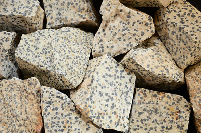 Dalmatian Stone 3'' 4-7 Oz Rough Root Chakra Healing Crystals Stones Metaphysical