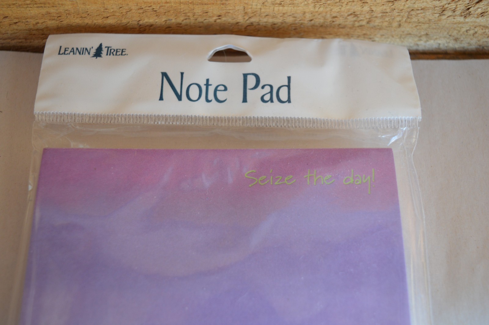 New LEANIN' TREE Inspirational Note Pad Seize the Day Purple Floral #SNP63017