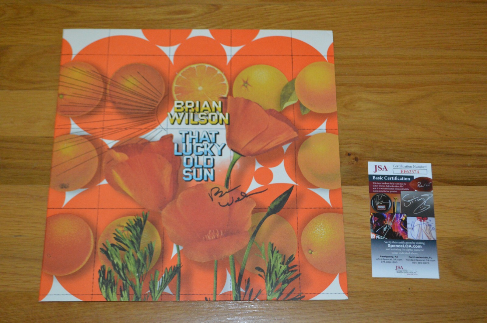 中古CD Brian the Sun 51YbsSMipPL._SY200_QL15_.jpg