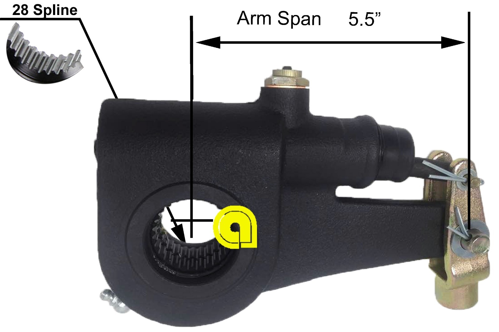 28 Spline 5.5