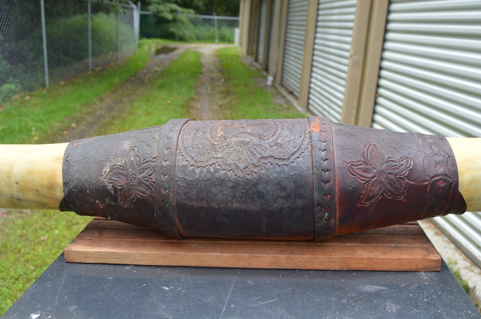 Vintage Longhorn Steer 78 1/4