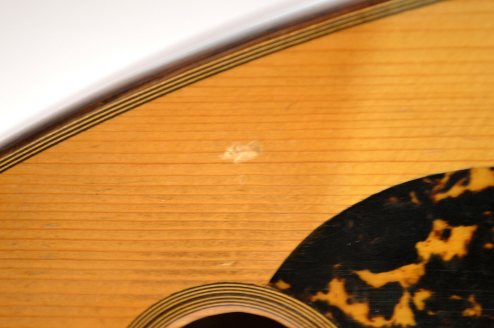 VINTAGE MARTIN & CO 1913 MANDOLIN BOWL BACK serial # 4163