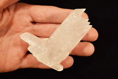 FISHTAIL SELENITE 4'' 7 Oz Fish Tail Raw Rock Mineral Chakra Healing Crystal