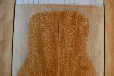 Quartersawn sycamore  tonewood guitar luthier set back and sides snakeskin