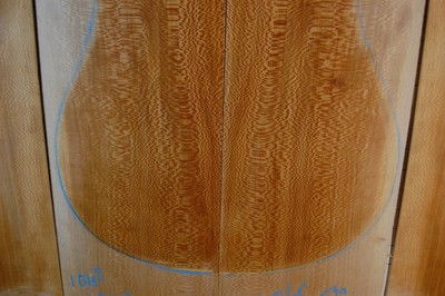 Quartersawn sycamore  tonewood guitar luthier set back and sides snakeskin