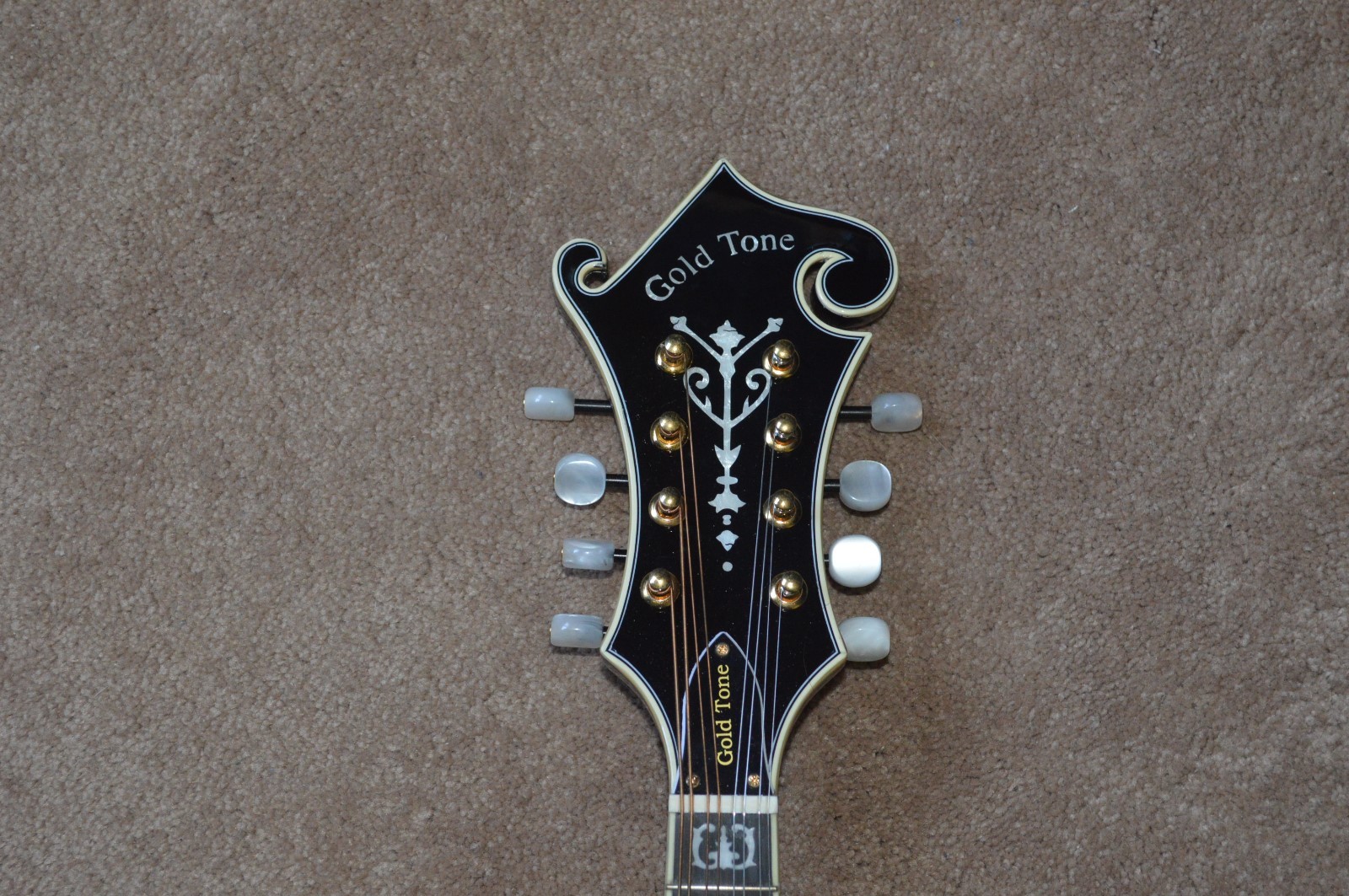 Gold Tone GM70+ Hi end all SOLID woods Superbly flamed Maple Unplayed