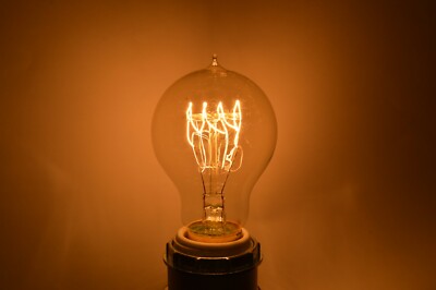 4 Pack of Dimmable A19 Vintage Edison Light Bulbs with Quad Loop Filament 2200K