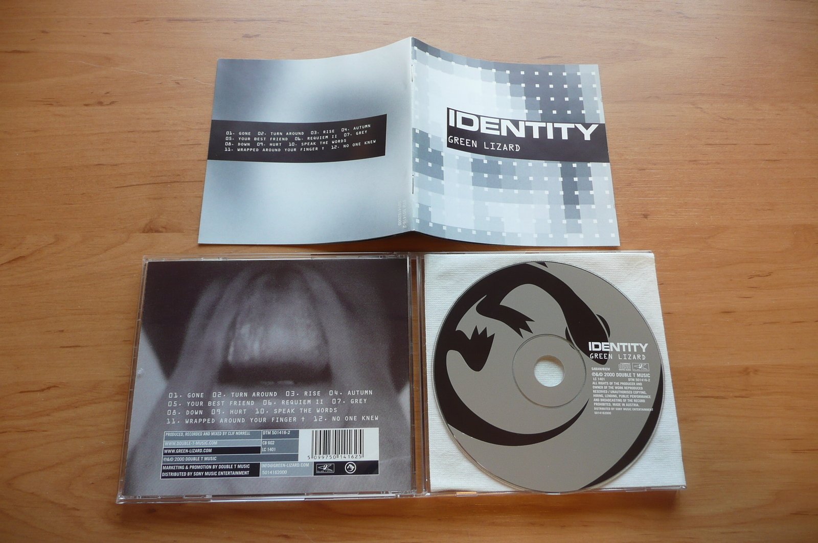 CD GREEN LIZARD - IDENTITY / DOUBLE T MUSIC 2000 / ALT ROCK DUTCH
