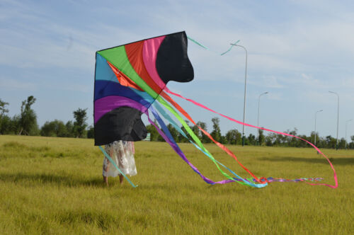 Large delta kite with long tail for kids and adults single line easy to fly