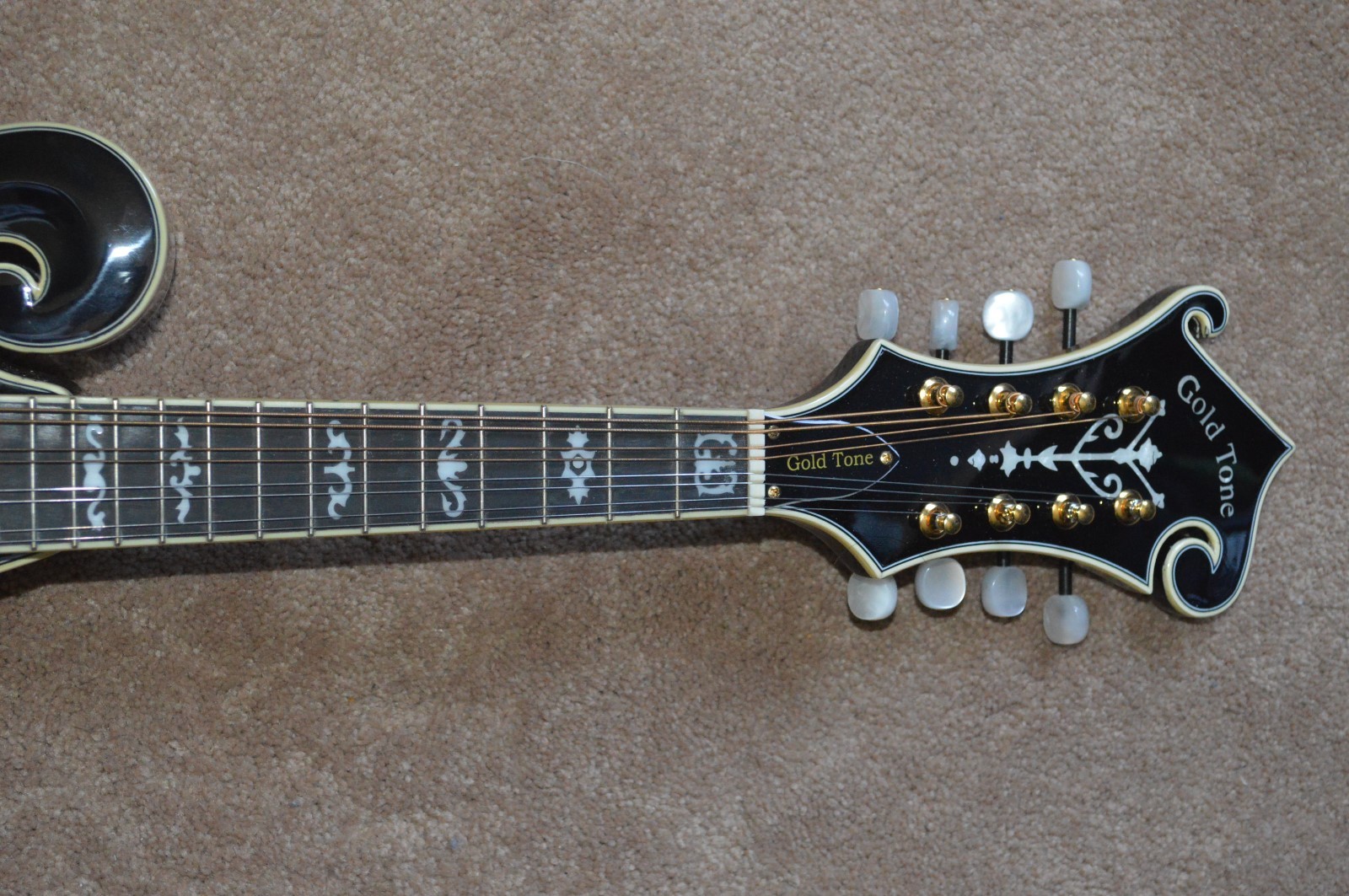 Gold Tone GM70+ Hi end all SOLID woods Superbly flamed Maple Unplayed