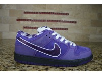 purple nike sb lobster