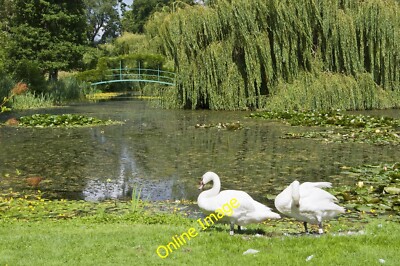 Photo 6x4 Monet Garden, Highnam Court Gardens Monet inspired part of the  c2014