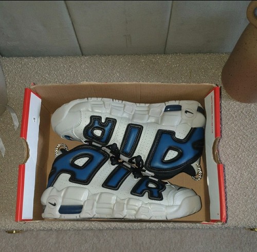 zoom uptempo 5