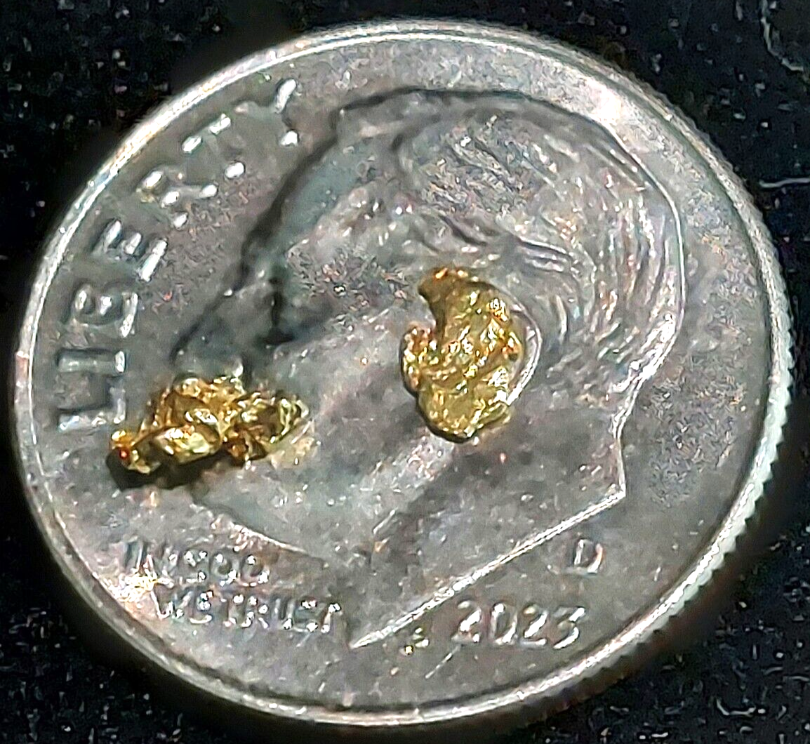 GOLD RUSH! (2) Authentic Alaskan Yukon Gold Nuggets / Genuine Natural Ore
