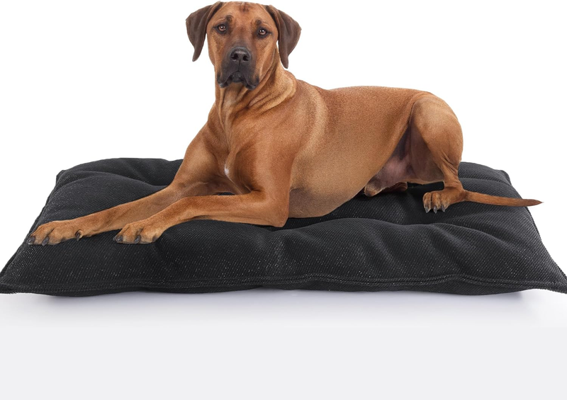 - Indestructible Crate Pad For Small Dogs (washable, 17x23")