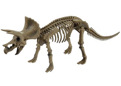 Pose Skeleton Dinosaur Action Figure #102 Triceratops Re