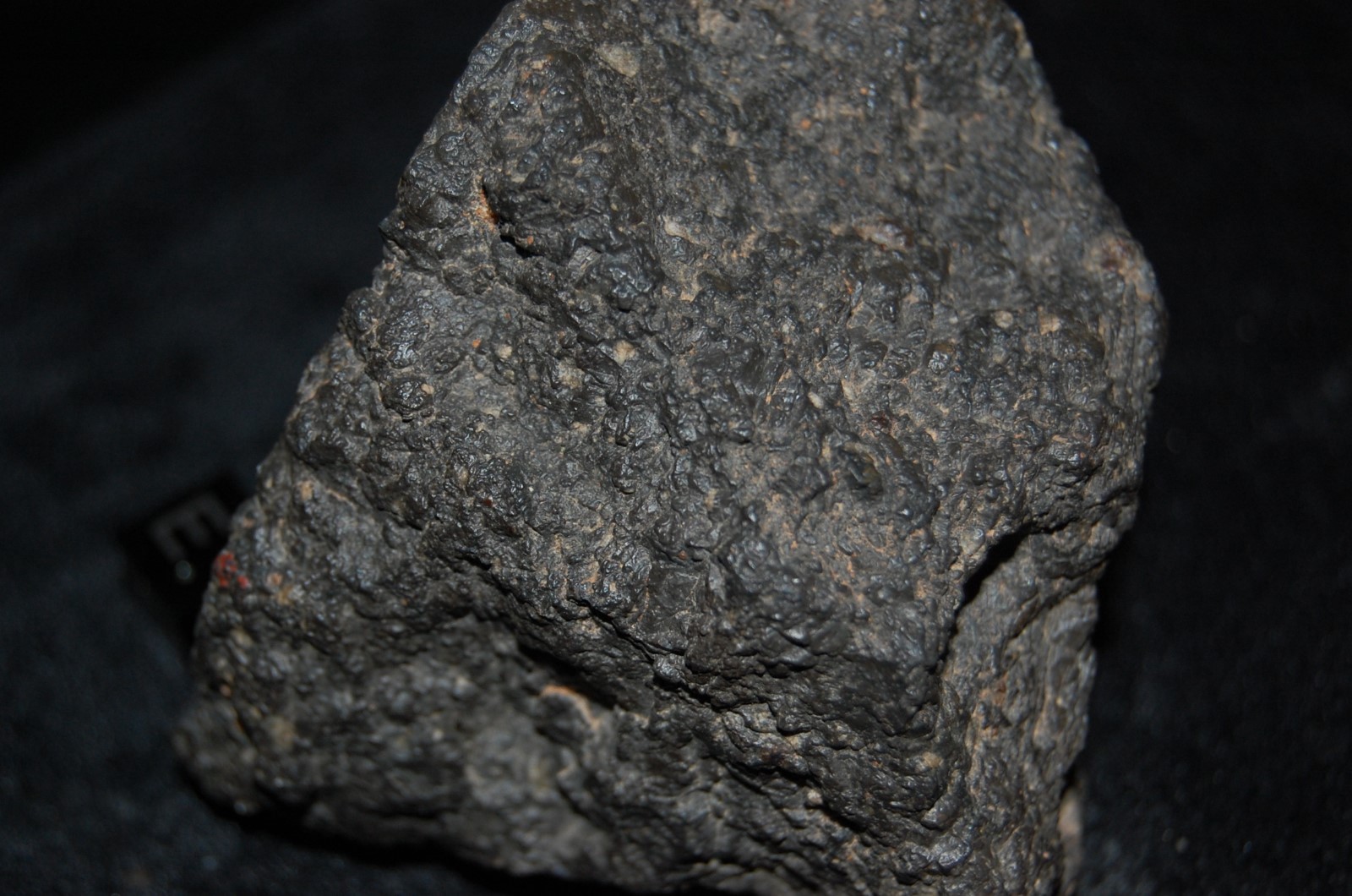 Lunar Meteorite 242 Gram Main Mass Of Nwa 6570 Feldspathic Breccia Rare