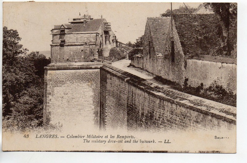 Langres - Haute Marne - Cpa 52  Vie Militaire Pigeonnier Militaire Colombophilie