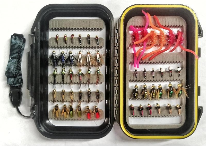 Fly Fishing 54 Nymph Flies Assortment BH Wet Fly for Trout Flyfishing with Waterproof Fly Box