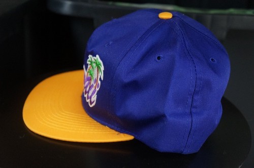 lakers palm tree hat