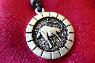 New Astrology Zodiac horoscope star sign necklace...Scorpio