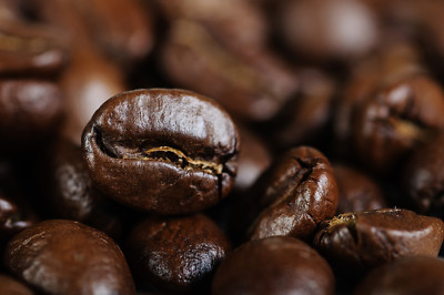 St Augustine Coffee - Spanish Dark Roast Coffee - 1 lb - Whole Bean Coffee