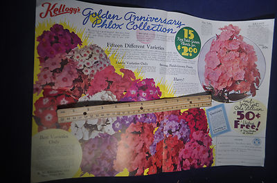 1937 Kelloggs Golden Anniversary Phlox