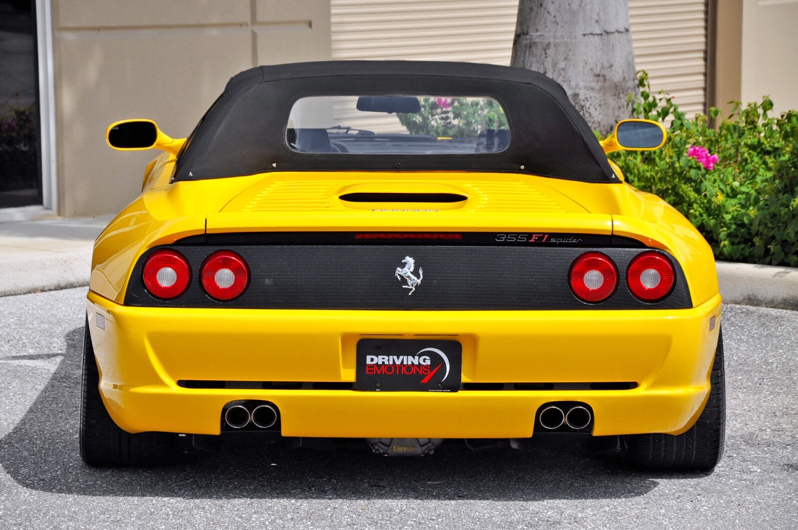 1998 Ferrari F355 Spider F1! Yellow/black! Tubi Exhaust ...