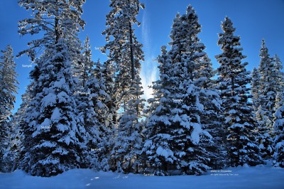 Idaho Mountains Winter Snow Scene #2 Poster Photo Print MC01