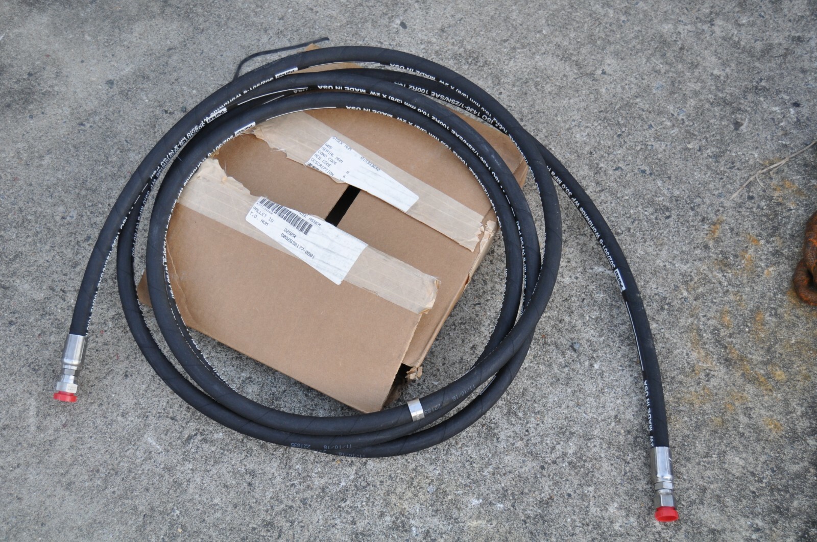 のりのり Amazon.com: Echo/Shindaiwa 10101044332 Gasket, Cylinder
