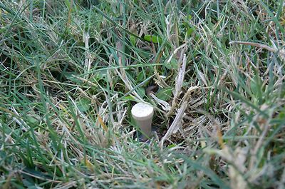 Fake grass plant sneaky evil Geocaching container geocache with logbook handmade