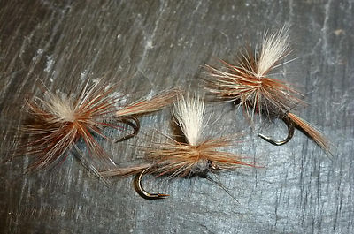 4 St. ADAMS-PARACHUTE Trocken-Fliege Bachforelle Regenbogenforelle  Döbel Trout