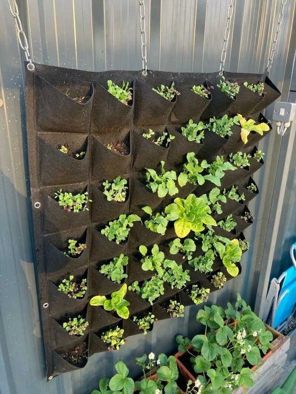 Wall Hanging Pockets Planting Bags Home Garden Planter Vertical Succulents