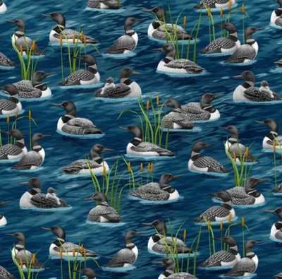 Timeless Treasures Lake Life Swimming Loons Cotton Quilt  Fabric by the Yard