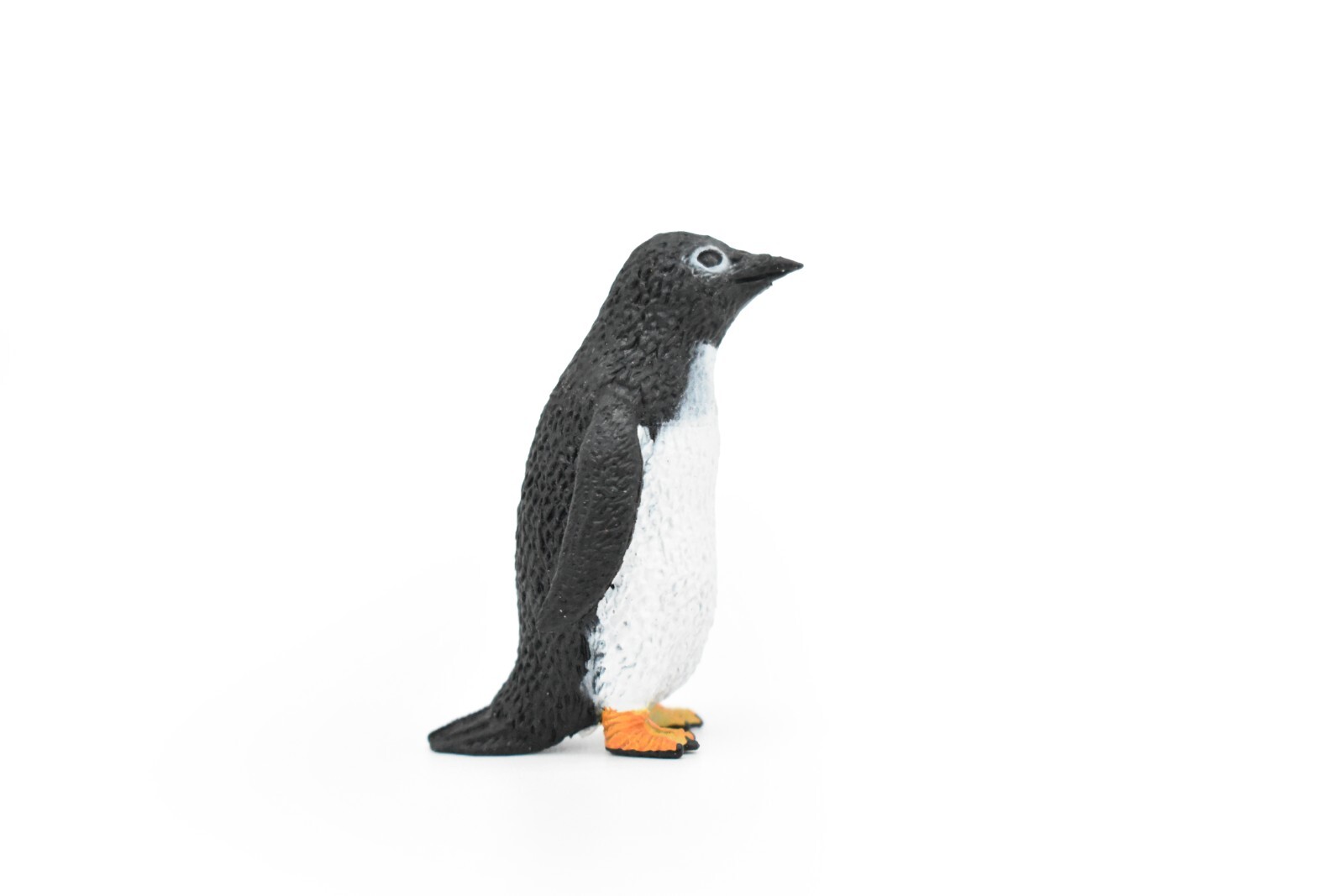 Adelie penguin 様オーダー Adelie penguin 様オーダー