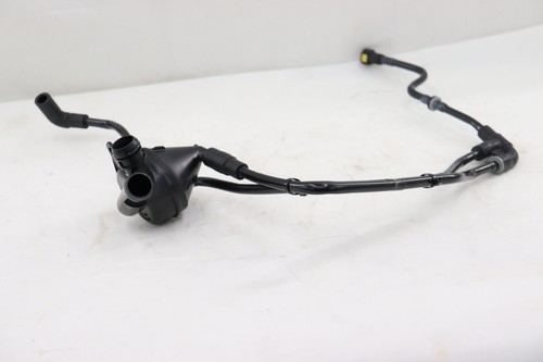 キャプアメ カワサキ ZX-25R エアバルブキャップ | バイクパーツ通販 Webike