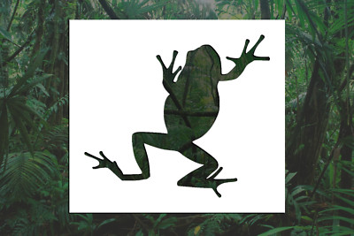 Frog Reusable Stencil (Many Sizes)