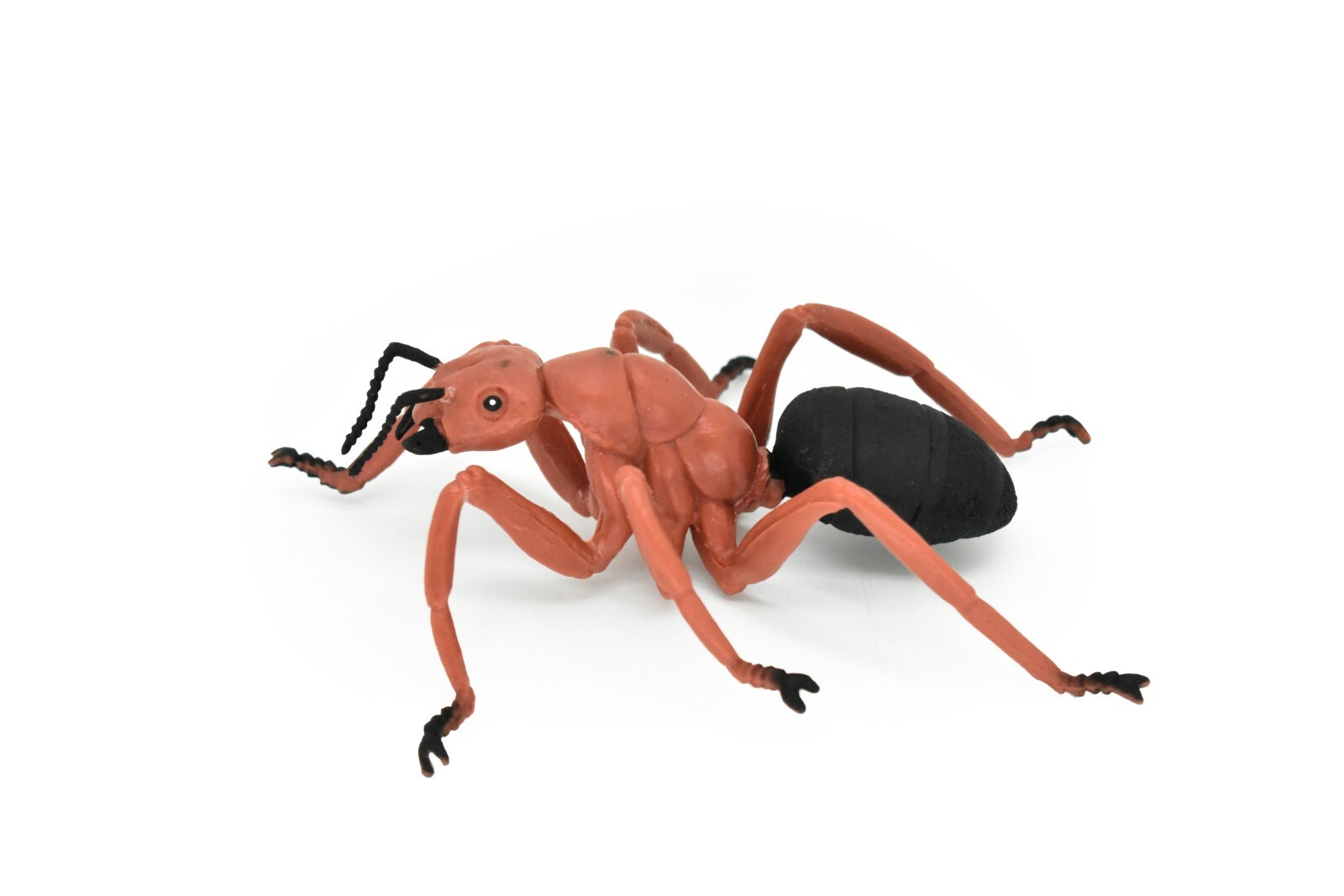 【R&B】Ant Unbelievable Red Ant Carpenter, Realistic Toy Rubber Replica 5 inches long