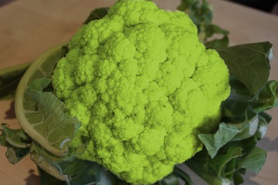 Blumenkohl Grün *Grüner aus Italien* - 50 Samen