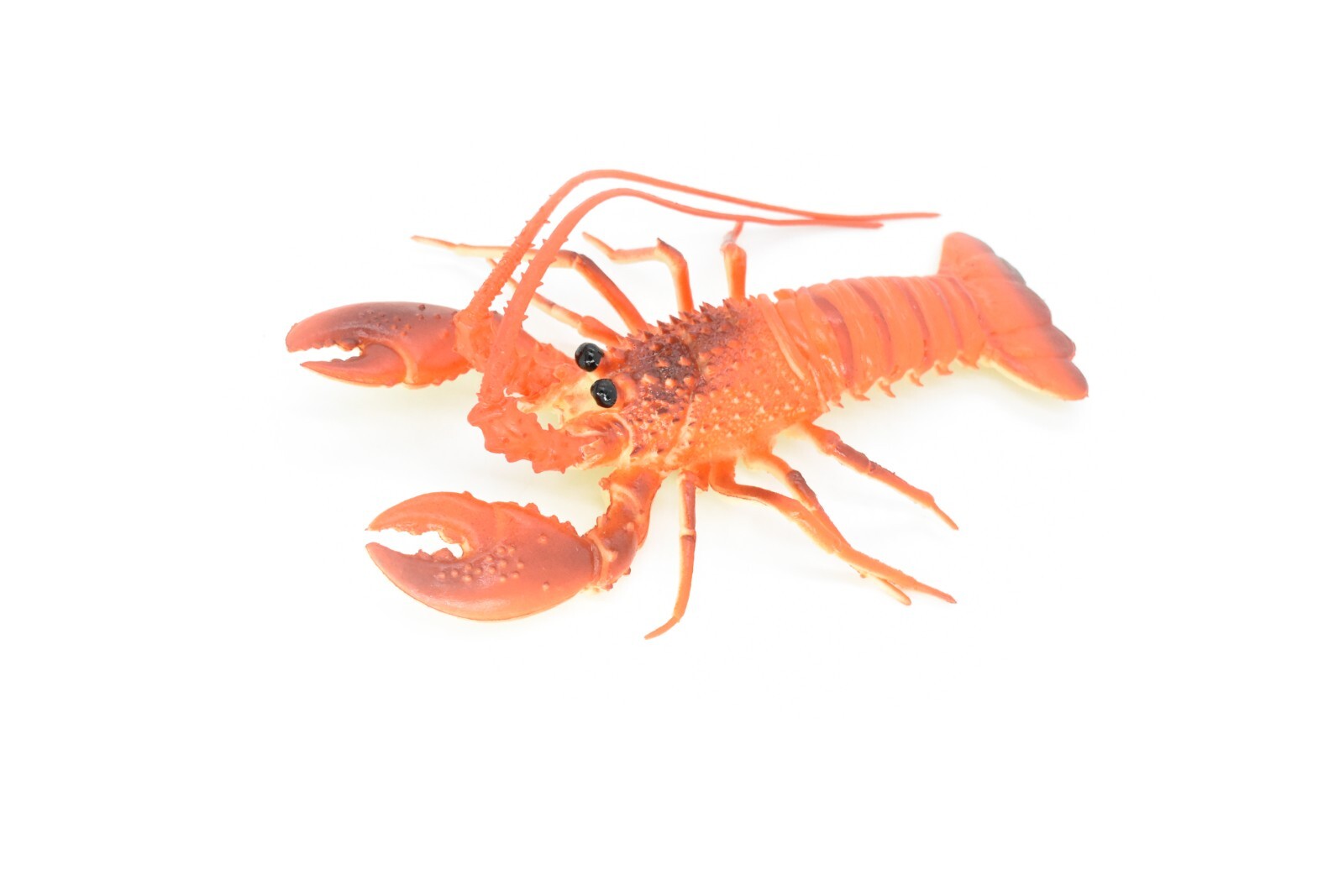 23-24 新品 LOBSTER/ロブスター AIRMSTER 150 23-24 新品 LOBSTER/ロブスター AIRMSTER 150 23-24 新品