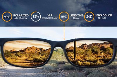 Polarized IKON Replacement Lenses For Von Zipper Snark - 24K Gold