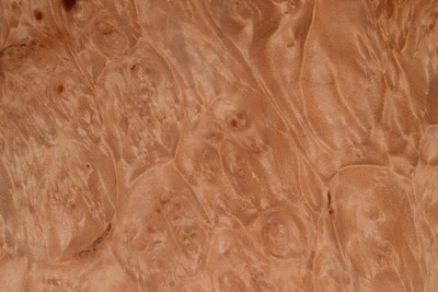 Maple Burl Raw Wood Veneer Sheets 12 x 13 inches 1/42nd thick            6837-31