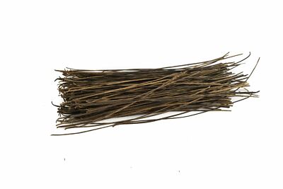 WWS Swamp Reed Kit – Model Railway Wargame Scenery Diorama