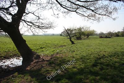 Photo 12x8 Drainage ditches on Lower Ham Holdfast/SO8537 The Ham by the R c2010