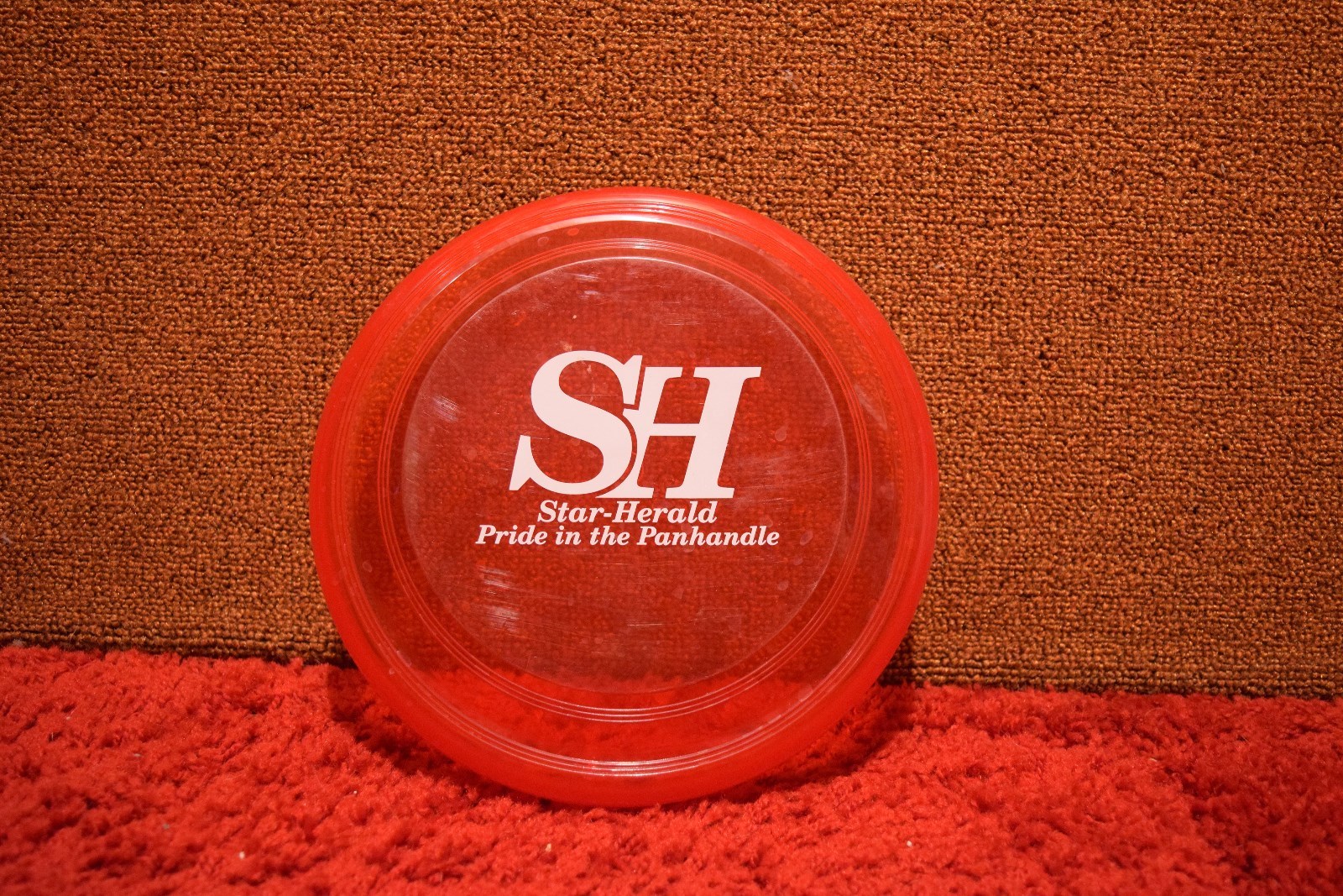 LOT Frisbee Flying Disc Frisbees Dog Outdoor Sport Green Blue Yellow Tricks Toy