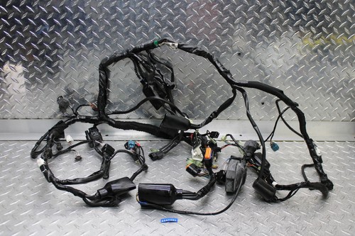 わかば KAWASAKI NINJA ZX-6R 636 Kabelbaum 26031-1058H 2004 2898993