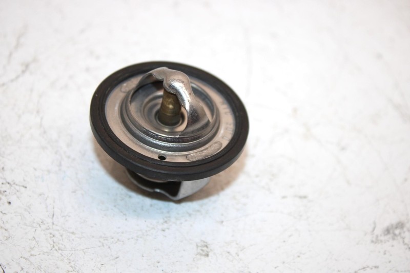 96 Arctic Cat Zrt 600 Oem Thermostat 3004-509 Q1641 | eBay